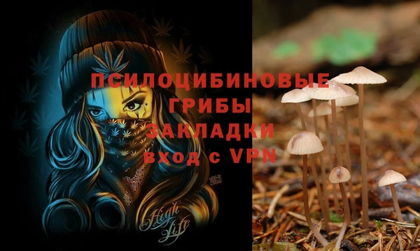 винт Алексеевка