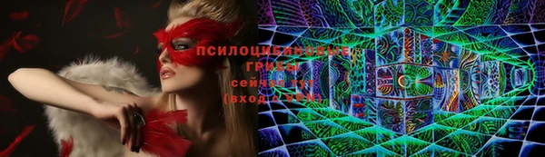 винт Алексеевка