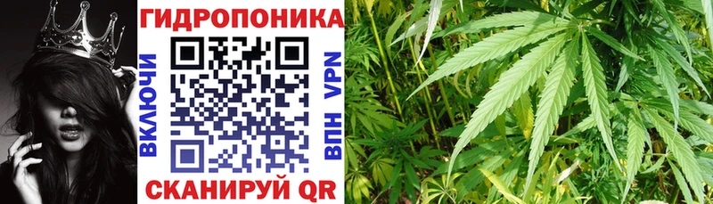 Бошки Шишки ГИДРОПОН  Шатура 